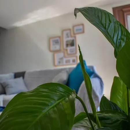 Hébergement de vacances Celeste House