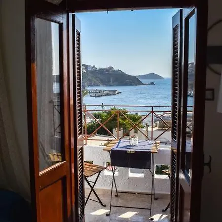 Celeste House Myrties